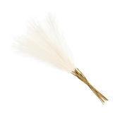 Faux Pampas Grass Fake Pampas Grass Decor, 21"/55cm / Cream / 15 Pcs Pampas Grass