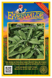 200 Broadleaf Sage Herb Seeds - Everwilde Farms Mylar Seed Packet Garden Plants