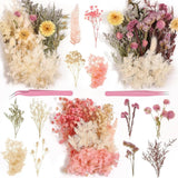 Real Dried Flowers 100% Natural Dried Flowers, Mixed Colors Dried Leaf Flowers f Dried Flower