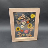 Botanical Art Framed Pressed Flower Freestanding or Hanging  10 in x 8 in Dried Flower