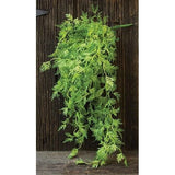 New Farmhouse WHISPY TRAILING GREEN FERN PLANT Hanging Tear Drop Vine Stem Bush Green Plant
