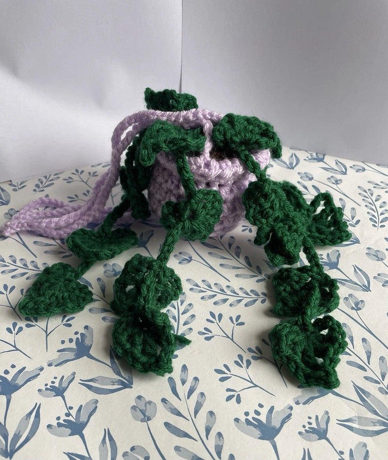 Crochet Hanging Plant With Wide Leaves Green Plant