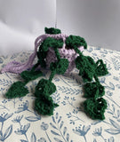 Crochet Hanging Plant With Wide Leaves Green Plant
