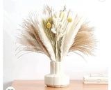 Natural Dried Pampas Grass Bouquet, Natural Home Decor, flowers (110PC) Pampas Grass