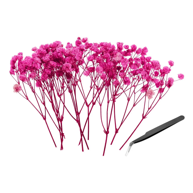 30 Pcs Dried Gypsophila Flower 4" Rose Red Pressed Flowers with Tweezer Dried Flower