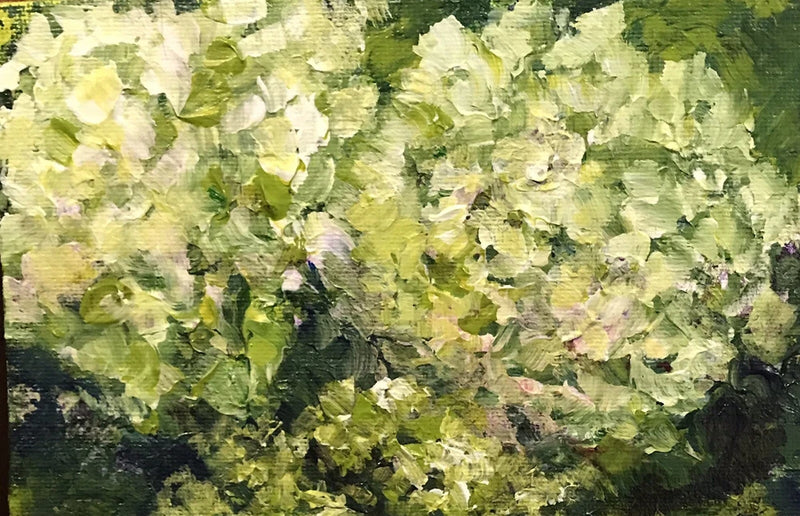 ACEO ATC Signed Print Flowers Garden ÒCharmÓ Hydrangeas Floral Art Trading Card Hydrangea