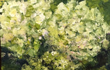 ACEO ATC Signed Print Flowers Garden ÒCharmÓ Hydrangeas Floral Art Trading Card Hydrangea