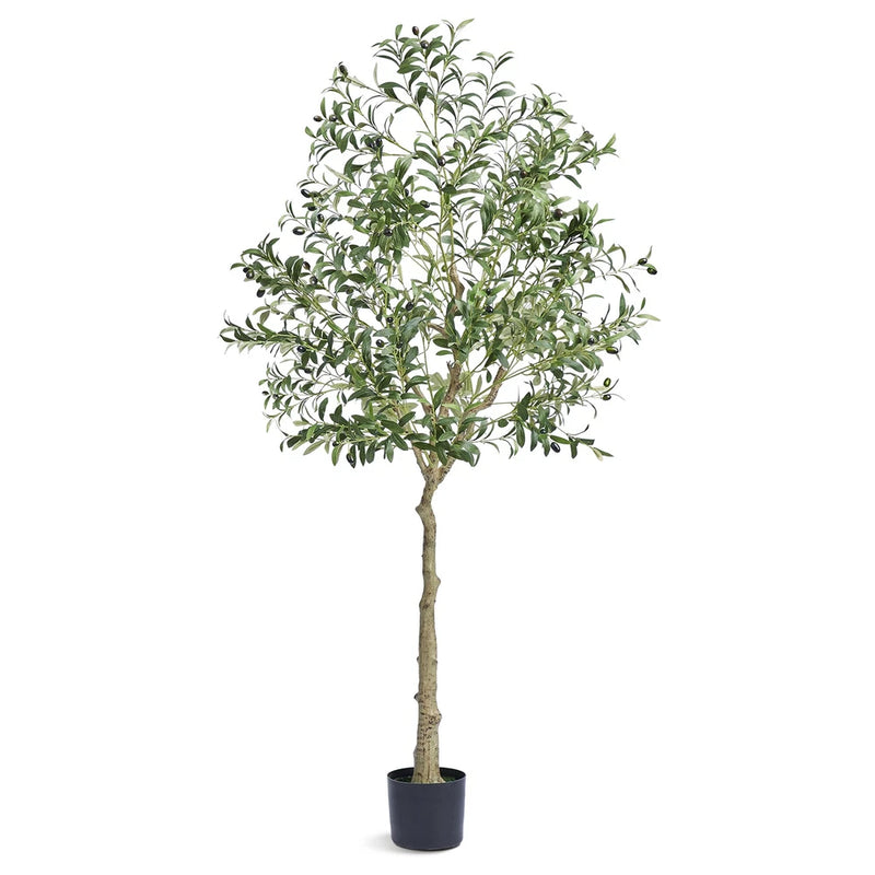 Uimoso 6 FT Artificial Olive Tree with Realistic Green Foliage and Natural Look Green Plant