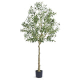 Uimoso 6 FT Artificial Olive Tree with Realistic Green Foliage and Natural Look Green Plant