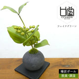 Cup Bonsai Sankirai Hinoki Charcoal Ball Fake Plant Japan Artificial Greenery Green Plant