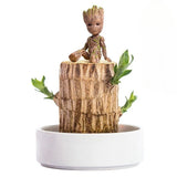A Set of Green Plant Brazilian Wood Water Raise Lucky Wood Potted Tree Indoor US Green Plant