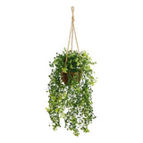 Nearly Natural 20" Baby Tear Artificial Plant in Hanging Basket in Green Green Plant