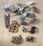 Natural Dried Outdoor Mix - Pinecone, acorn, leaves, dried flowers, sticks, Ect. Dried Flower
