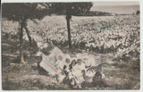 Easter Lily Field flowers children Postcard c1907 Lily