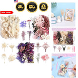 Dried Flowers Natural Multicolor for Crafts Decorations Resin Jewelry Dried Flower