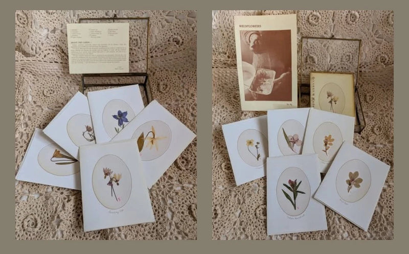 Pressed wildflower card set with cream envelopes and assorted dried-flower designs