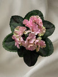 8" ARTIFICIAL Semi-Miniature African Violet  -  pink with green edge Flowering Plants