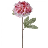 Mauve Dried Look Parisian Peony Stem Artificial Flower Dried Flower