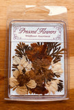 Vintage PRESSED FLOWERS Wildflower Assortment Dried Flower