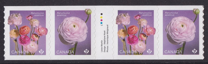 Canada 3373-3374 3374a Ranunculus P coil gutter strip 4 MNH 2023 Ranunculus