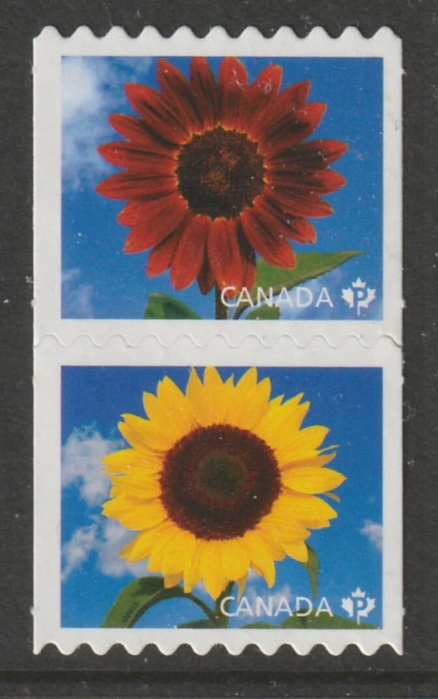 Pair of Canada sunflower stamps, red and yellow flowers with 'CANADA' in blue frames