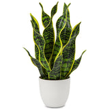Artificial Snake Plant Potted Faux Sansevieria Trifasciata Plants, 16.5" Trop... Green Plant