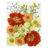 Dried Pressed Flowers Natural Leave Real Pressed Flowers Sunflower Style Dried Flower