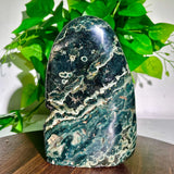 2.41LB Natural and beautiful green aquatic plant crystal specimen block Green Plant