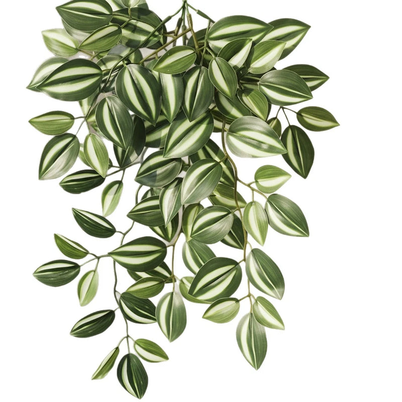 Realistic Peperomia Hanging Plant - Low Maintenance IndoorOutdoor Decor Green Plant