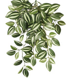 Realistic Peperomia Hanging Plant - Low Maintenance IndoorOutdoor Decor Green Plant