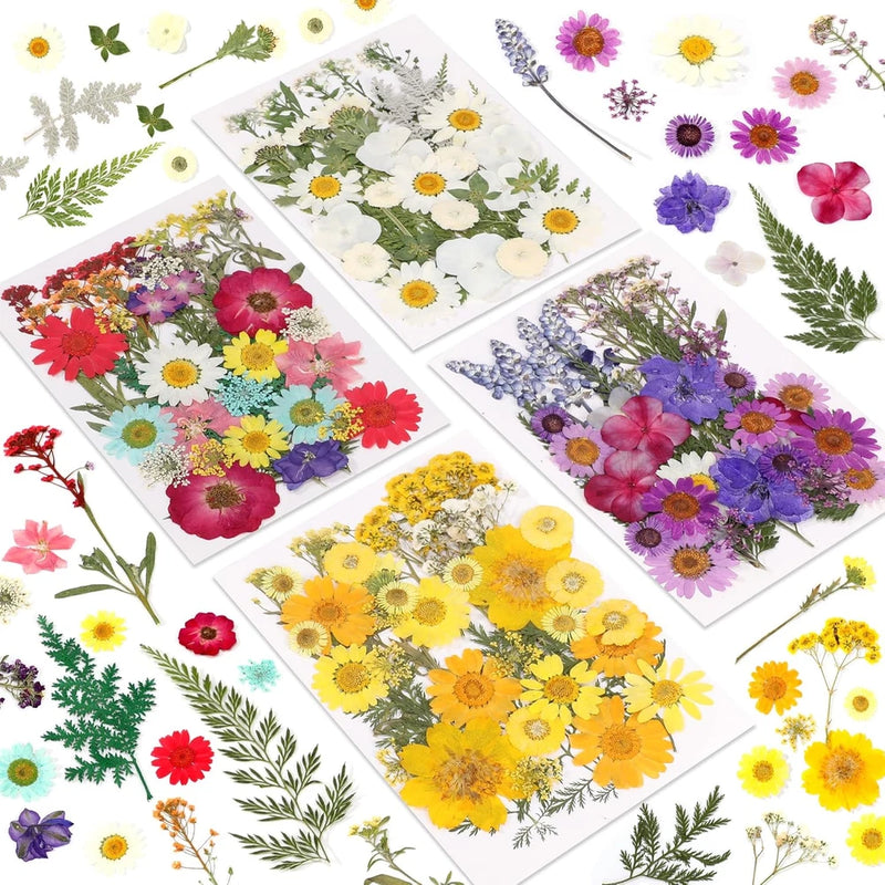 Botanical pressed flower set with real dried blooms and leaves, assorted colors in sheets