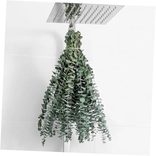 Dried eucalyptus stems bundle with green leaf clusters