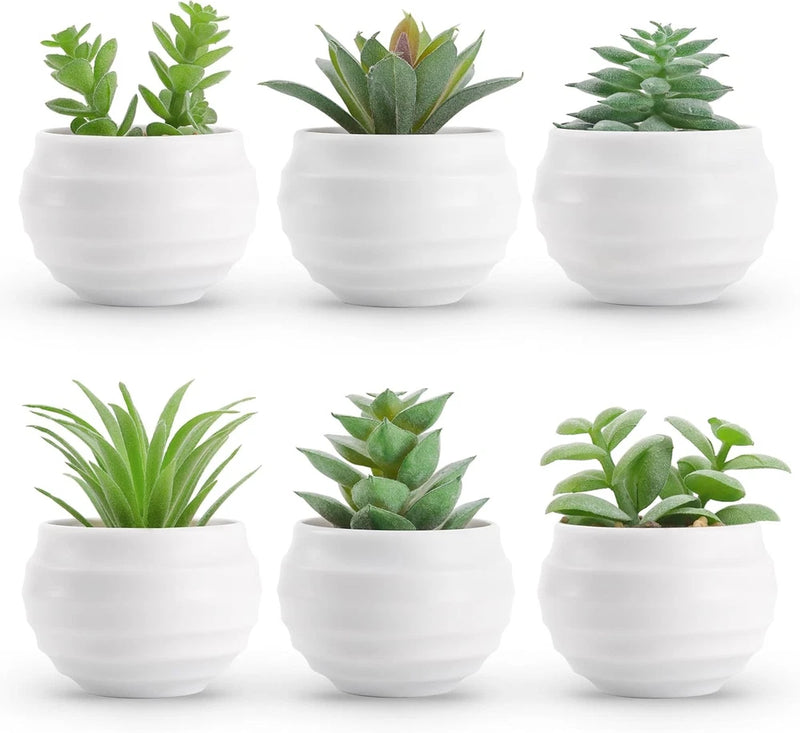 Der Rose Set of 6 Succulent Artificial Plants in Pots for Bedroom Living Room Green Plant