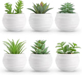 Der Rose Set of 6 Succulent Artificial Plants in Pots for Bedroom Living Room Green Plant