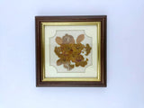 Vintage glass wall picture by Joanna Sheen dried flowers Dried Flower