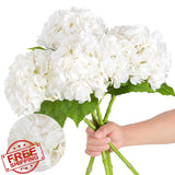 Nubry 3pc Large Latex Hydrangea Flowers 22.5" White Real Touch w/ Stems Hydrangea