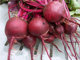 DETROIT DARK RED BEET 200 SEEDS FRESH FOR GARDENS Garden Plants