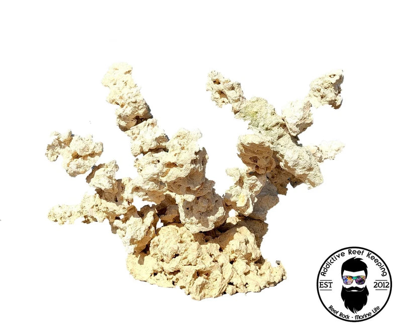 ARK Island Branch Rock Kit Dry Reef Rock Aragonite Base, Porous Aquariums Live Anemone