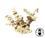ARK Island Branch Rock Kit Dry Reef Rock Aragonite Base, Porous Aquariums Live Anemone