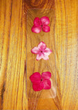 Pressed Wildflowers Fushia Hydrangea Blossoms Handmade Bookmark for Gifting Hydrangea