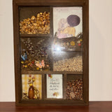 Vintage Shadow Box Art Seeds Dried Flowers 7Ó X 10Ó Valentines Day Gift __ Dried Flower