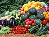 Vegetable Seed Lot.  190 Heirloom Varieties GARDEN/STORAGE non gmo, non hybrid Garden Plants