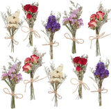 10 Pack Dried Flower Forget Me Not Bouquets Natural Dried Flower with Stem Dried Dried Flower