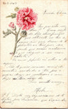 Artwork hand painted Carnation flower original old 1900s French postcard Carnation