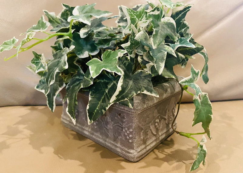 Vintage Westpoint Stevens Ivy Artificial Plant in Gray container planter Green Plant