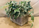 Vintage Westpoint Stevens Ivy Artificial Plant in Gray container planter Green Plant