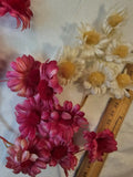 Vintage Millinery Daisy Flowers - Pink & White - Hats, Clothes & Costumes Daisies