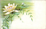 Vintage White Water Lily Flower Postcard with Handwritten Message Early 1900s Lily