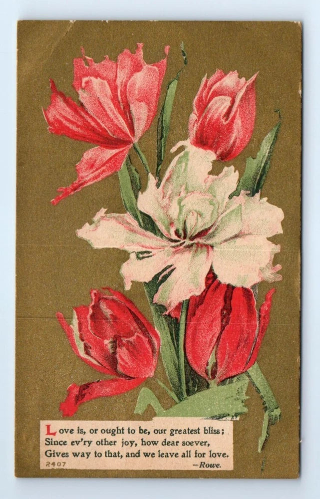 Love Is Our Greatest Bliss Carnation Flowers Romance Postcard c.1910 Carnation