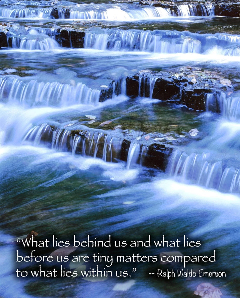 posters from my photographs with inspirational sayings - 24"x36" frame size $60 Ranunculus